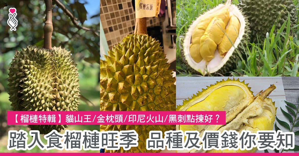 踏入食榴槤旺季 品種及價錢你要知